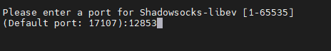 设置 Shadowsocks 的端口号