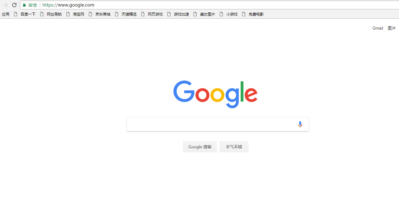 浏览器成功打开 Google 首页